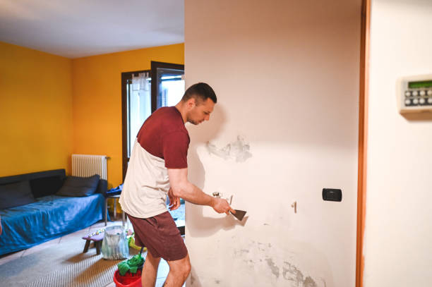 Home Mold Removal in West Fork, AR